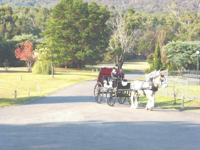 The Grampians Motel Холс Гап Екстериор снимка